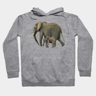 Elephant Mama with Baby Hoodie